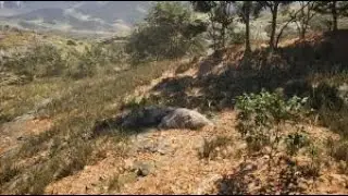 Stone Simulator: Music & Landscapes  | Events Mode | Relaxing Ambiance | Nature Meditation