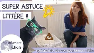 Comment nettoyer la liti&egrave;re du chat: Super ASTUCE ! Comment changer la liti&egrave;re du chat?