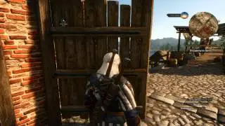 The Witcher 3 Wild Hunt - Один из многих багов №1