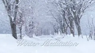 Winter Meditation