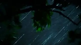 Storm Video Showing Intense Downpour