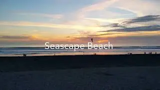 Seascape Beach, Aptos, California