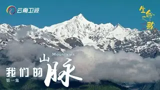 巅峰之上领悟生存的智慧！走进云南的崇山峻岭，倾听山的故事……【生命之歌】