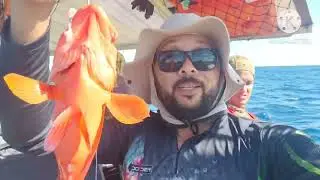 PESCARIA INSANA EM ALTO MAR NA REGI&Atilde;O DE ARACAJU -SE.