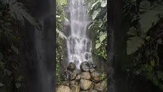 Eden Explored: A Whirlwind Tour | Quick Nature Shorts