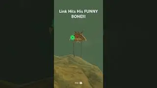 Link BANGS HIS FUNNY BONE!!!😂😂😂 #zelda #gaming #totk