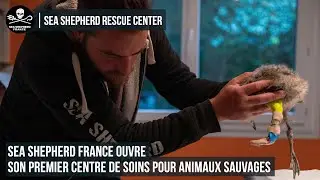 Sea Shepherd France ouvre son premier centre de soins pour animaux sauvages