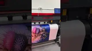 Large Format Printing