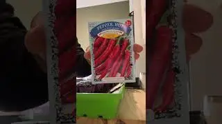We Started Our Pepper Seeds 🌱 | Zone 8a Garden