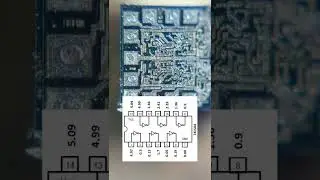 🔬 La Compuerta L&oacute;gica NOT En El Microscopio