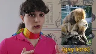 Gay Animals: The Politics of Animal Homosexuality