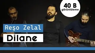 Reşo Zelal -Dilane (Official Video)