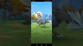 Kyurem se me escapa en una incursion de Pokémon Go