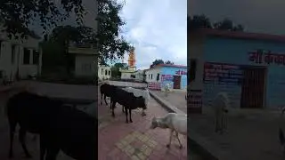 kankali mata mandir near bhopal, #temple #madir #kankali #devimandir #vlog