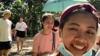 A day trip after quarantine: Elephant Mountain/ Xiangshan (象山) TAIWAN