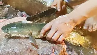 Incredible Big Snake Head Fish Cutting Live in Fish Market | Sola Fish Cutting Skills