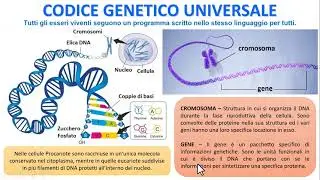 IL CODICE GENETICO E' UNIVERSALE
