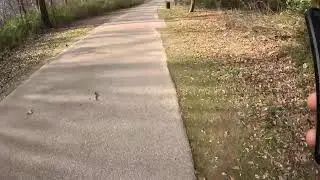 Walking the Walk