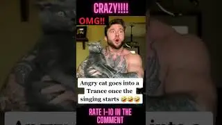 Angry cat goes into hypnosis once the singing started! #shorts
