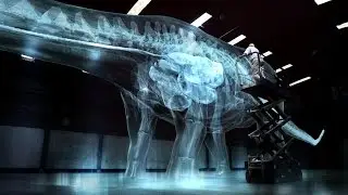 How Did Dinosaurs Communicate? (Documentary 2016)