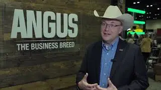 Insights to the Cattle Business