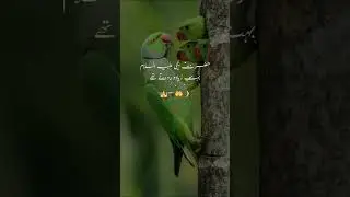 #informationalvideo