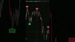 Spot Winning Stocks: Reliable Signal Strategy 🏆