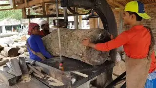 Crooked, Hole Mahogany Wood  Big Size Tough To Cutting at Sawmill।Big Size Wood Cutting Difficulties