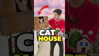 New House For My Cats 💀😀 | Mini Vlog #shorts #minivlog #ashortaday #vlog #tranding #cat