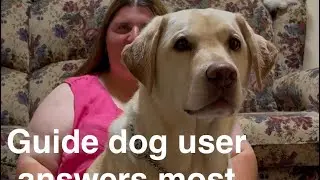 Guide dog user answers the most googled questions about Guide Dogs ￼