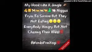 WildYogi- The Jungle