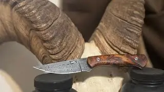 Montana Knife Company Damascus Blackfoot Unboxing 