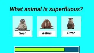 Guess the Odd Animal Out! 🤔 
