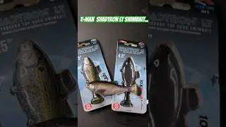 Z-man Shadtron LT Swimbait Overview... #fishing #fishingbaits #zman