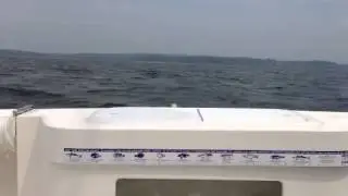 Seakeeper gyro installation
