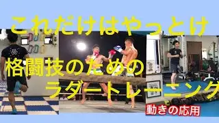 ［ラダートレーニング］これだけはやっとけ！格闘技のためのトレーニング