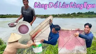Mùa Con Rươi Và Cách Chế Biến Ra Nước Mấm Có 1 Không 2 Sẻ  như Thế Nào / Tập 485