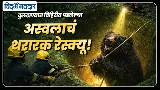 Buldhana | बुलढाण्यात विहिरीत पडलेल्या अस्वलाचं थरारक रेस्क्यू! #buldhana #asval #rescue
