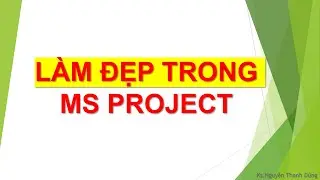 Hướng dẫn làm đẹp MS Project - Format màu sắc, hình dáng, chiều cao thanh bar, chiều cao chữ?