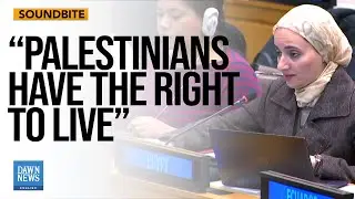 OIC Demands Israel End Occupation, Highlights ICJ Verdict at UN | Egypt | Dawn News English