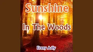 Sunshine in the Woods