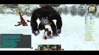 raiderz viva solo pvp/def (not perfect)