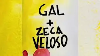 Nenhuma Dor | Gal Costa e Zeca Veloso