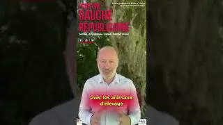 Le bien-être animal au cœur de nos élevages