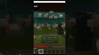 Duck hunt (yep they are ducks)   Minecraft Mini Games SeaCraft SMP