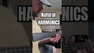Natural Harmonics #guitar #guitarist #guitarsolo #guitarlesson #guitarplayer #acousticrock