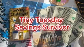🎲✨️Monthly Challenges✨️Savings Survivor Collab🎲✨️Late Post✨️#randomizer✨️ ✨️#cashenvelopestuffing✨️