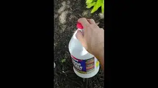 30 Seconds Outdoor Cleaner!! Deck cleaner review!!