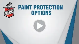 Ziebart Paint Protection Options for Your Vehicle