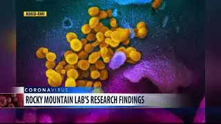 Rocky Mountain Labs continuing efforts in COVID-19 research